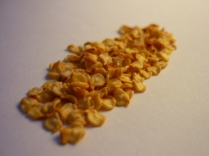 Moruga Seeds